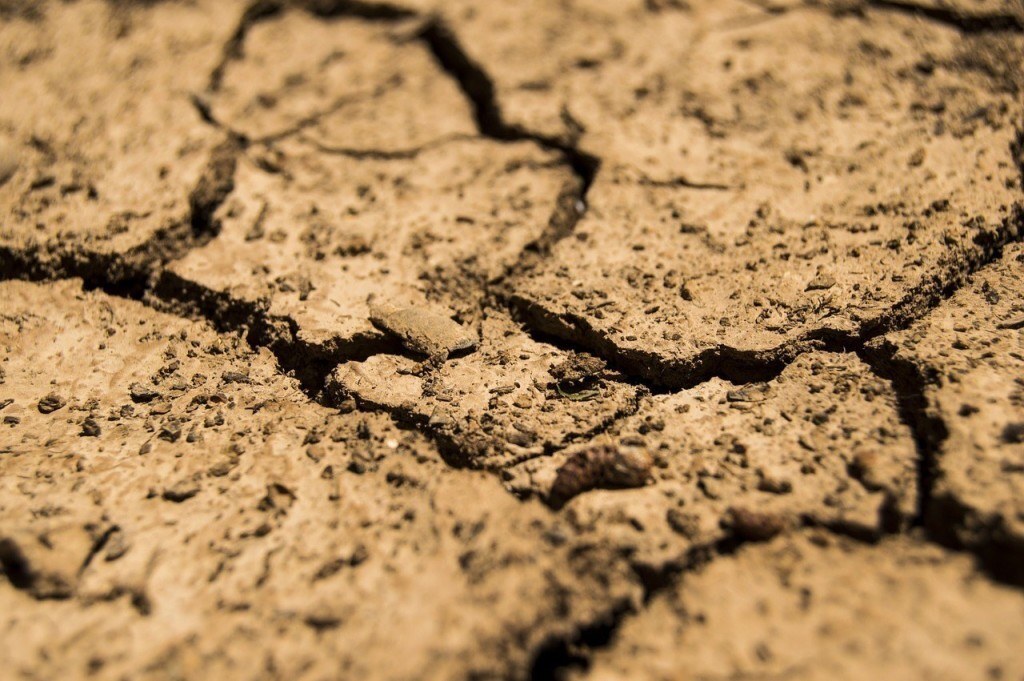 soil