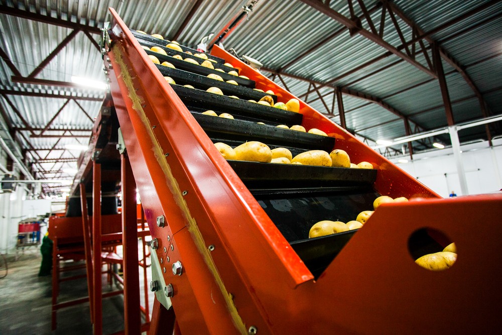 What's Driving the Demand for Robotics in Bulk Food Processing potato sorting General Kinematics