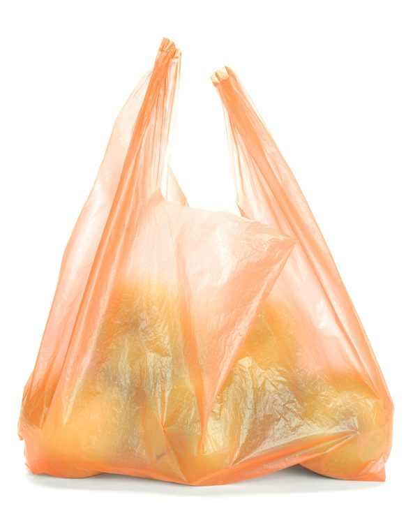 The Reality Behind Plastic Bag Bans green apples in plastic bag General Kinematics