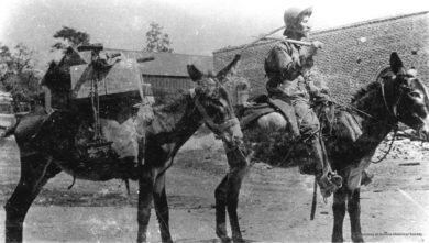 Prospector traveling by mule - history of mining in the United States